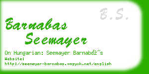 barnabas seemayer business card